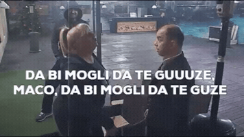 Maco Parovi GIF