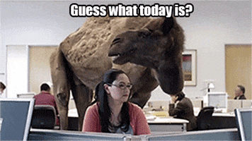 Today Guess GIF