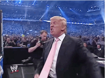 excited donald trump GIF