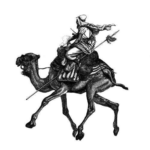 GIF by The Classic Safari Company