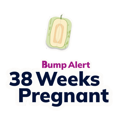 Pregnancy Expecting Sticker by The Bump