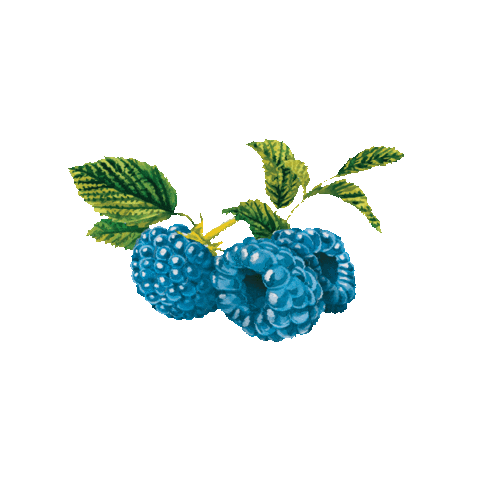 Smokiez Handcrafted Sticker