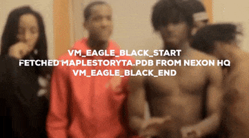 Nexon Maple Story Maplestory Idb Pdb Resinate Themida GIF