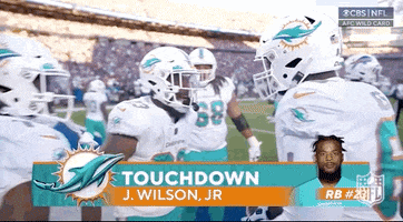 Scared Miami Dolphins GIF by NFL