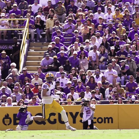 Death Valley Win GIF by LSU Tigers