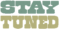 Stay Staytuned Sticker