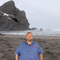 Bad Day Seagull GIF by Sound FX