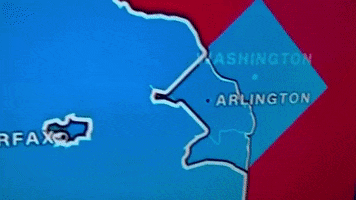 Vote2020 GIF