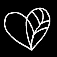 200.gif?cid=fc005b0891826a100911240c16fd245c7b4b5c1b6885f68f&rid=200.gif&ct=g