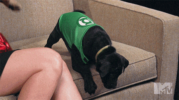 200.gif?cid=fc005b084c29b504f20b0858c25bcf062445f08ce4225b77&rid=200.gif&ct=g