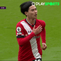 Premier League Goal GIF by Play Sports