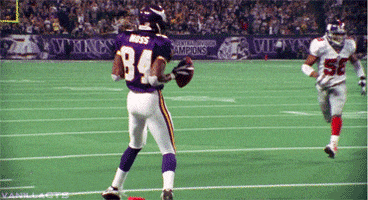 minnesota vikings nfl GIF