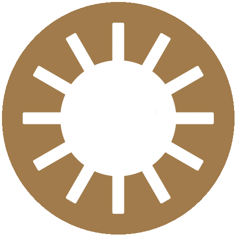 Icons Sonne Sticker by gruenerleben