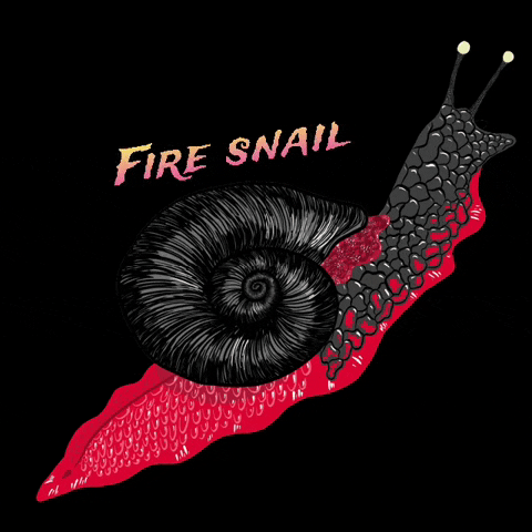 megpaintedthat snail mollusk fire snail GIF