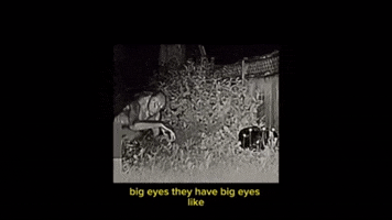 Alien GIF