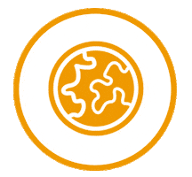 Geografia Sticker by FCH