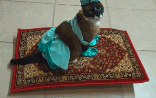genie