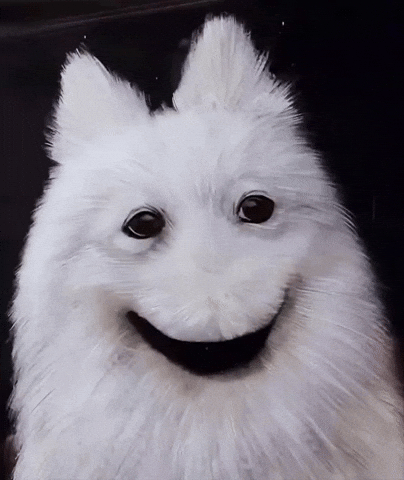 Hound Dog GIF