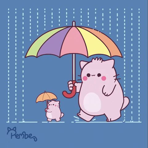 Cat Rain GIF by Pembe