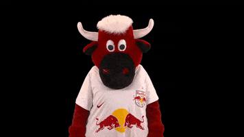 Red Bull Wave GIF by FC Red Bull Salzburg