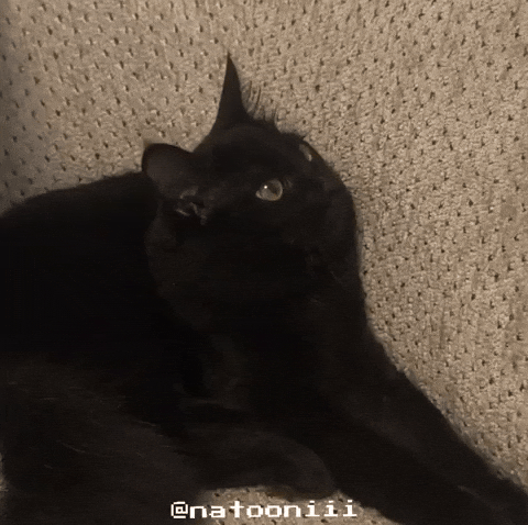 Natooniii GIF