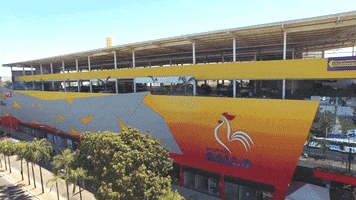 Shopping Gallo GIF