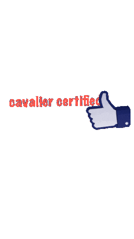 Chevy Cavalier Sticker