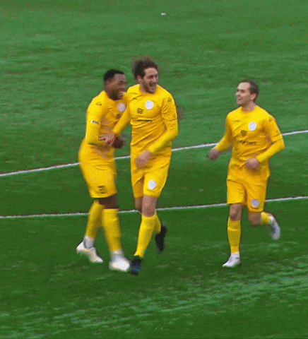 De Harder Win GIF by Tweede Divisie