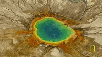 grand prismatic spring yellowstone GIF by National Geographic Channel