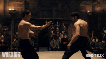 Martial Arts Fight GIF by Max