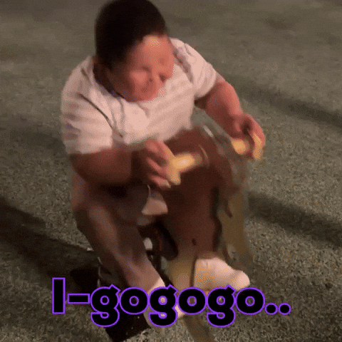 Horse Panda GIF