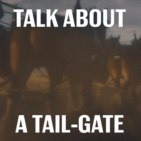 Super Bowl GIF by Budweiser Find & Share on GIPHY
