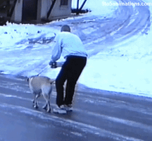 Snow Fail GIF
