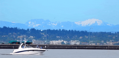 Washington State GIF by 50statesproject