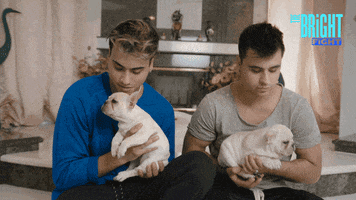 in love omg by Dobre Brothers Bright Fight GIF Library