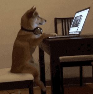 Video gif. A dog sits at a dining table with headphones around his neck, intensely watching a video on a laptop.