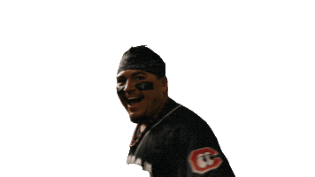 Baseball Ruben Sticker by Chattanooga Lookouts