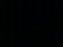 Brock Z GIF