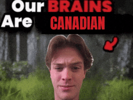 Canadian Beckham GIF