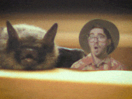 Oh No Smh GIF by 522 Productions