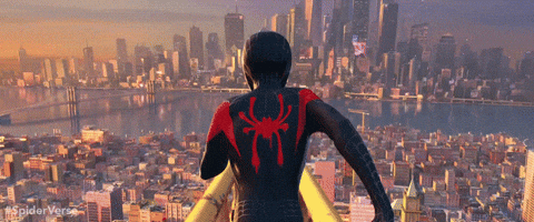 spider-man marvel GIF by Spider-Man: Into The Spider-Verse