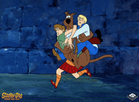 scooby doo running GIF by Boomerang Official