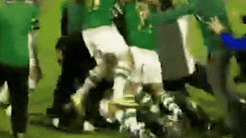Bursaspor GIF