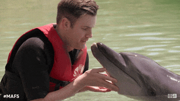 Swimming With Dolphins Kiss GIF by Married At First Sight