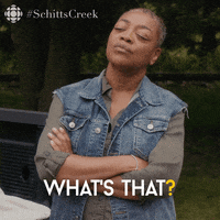 What Is That Schitts Creek GIF by CBC