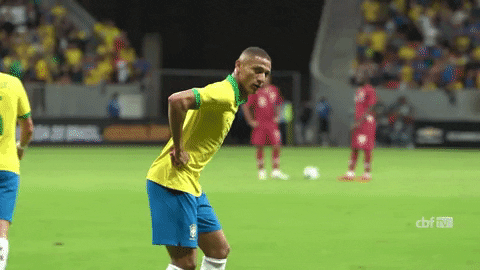Brasil-rp GIFs - Get the best GIF on GIPHY