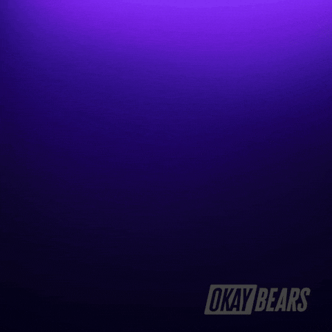 Happy New Year Nye GIF by Okay Bears