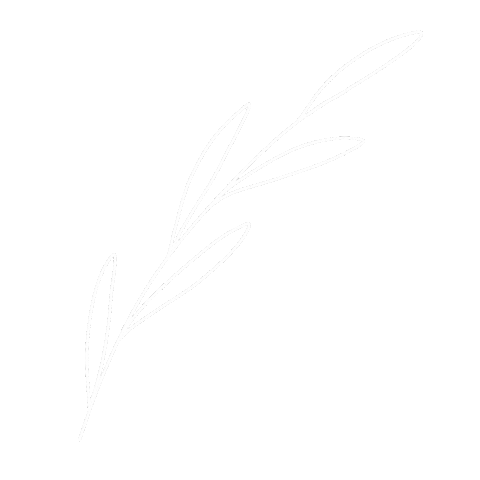Leaves Sticker