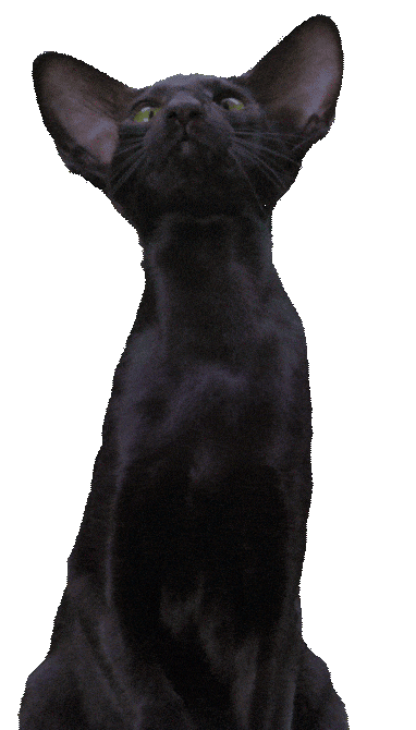 Tff Sticker by Trafikkforsikringsforeningen