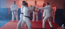 Karate Chop GIF by Harding Mazzotti, LLP